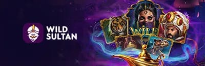 Jouer sur Wild Casino